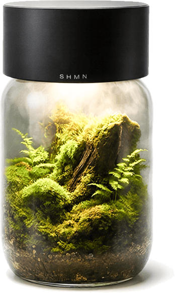 SHMN Pandora smart terrarium lid on a jar