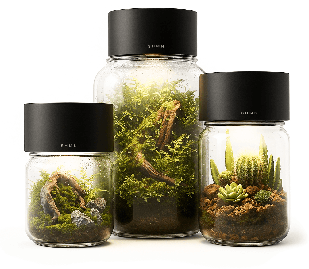Lineup of SHMN Pandora lids on different jar sizes